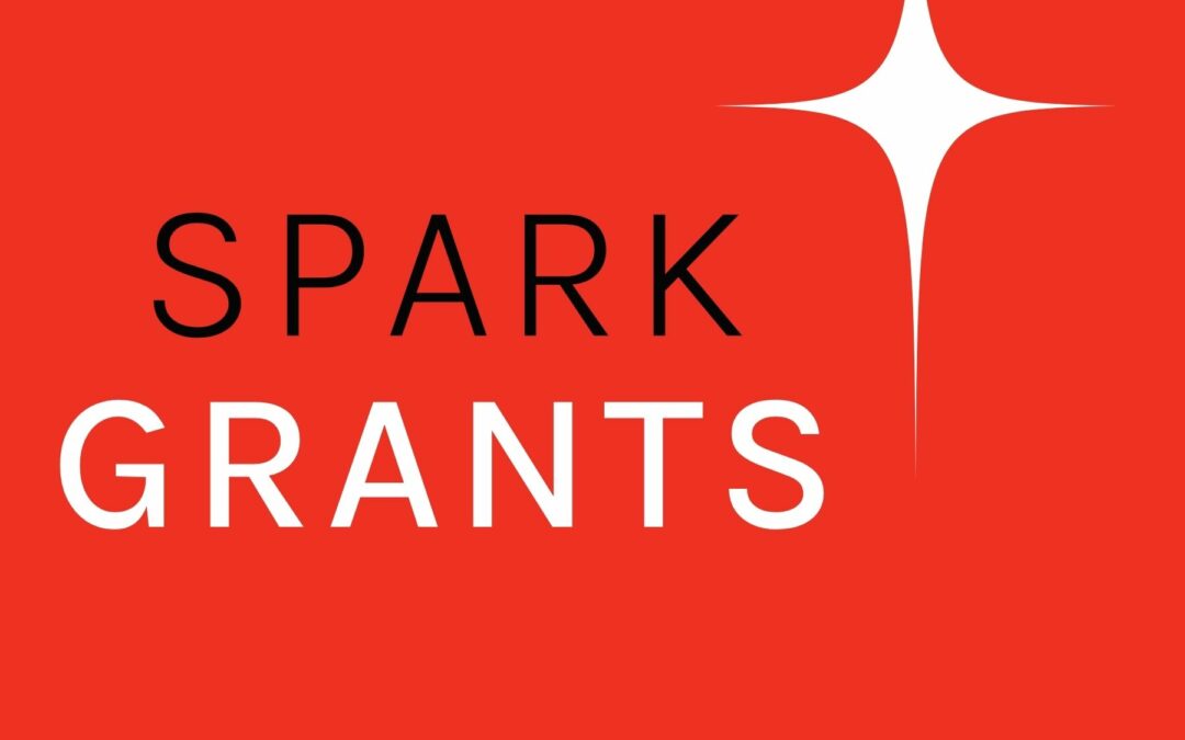 Start-up Organizations Invited to Apply for Foundation’s Inaugural Spark Grants